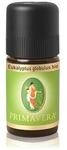 Primavera Eukalyptus globulus Bio Duft&ouml;l