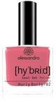 Alessandro Hybrid Nagellack