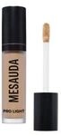 MESAUDA BEAUTY Pro Light Concealer