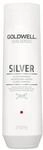 Goldwell Dualsenses Silver Silver Shampoo Haarshampoo