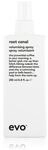 evo root canal volumising spray Volumenspray