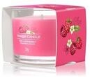 Yankee Candle Red Raspberry Duftkerze