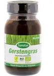 Gerstengras BIO Pulver 90 g