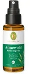 Atmewohl Kissenspray bio 30 ml
