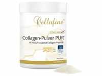 Cellufine® VERISOL® B (Rind) Collagen-Pulver PUR - Dose 300 g