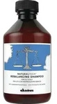 Davines Naturaltech Rebalancing Shampoo 250 ml