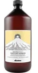Davines Naturaltech Purifying Shampoo 1000 ml