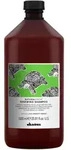 Davines Naturaltech Renewing Shampoo 1000 ml