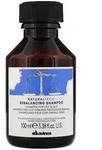 Davines Naturaltech Rebalancing Shampoo 100 ml