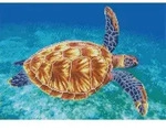 Pracht Diamond Dotz Squares - Graceful swimmer / Schildkr&ouml;te, ca. 37 x 52 cm gro&szlig;