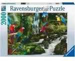RAVENSBURGER 17111 Puzzle Bunte Papagein im Dschungel 2000 Teile