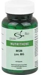 MSM 500 mg Kapseln 60 St.