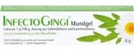 INFECTOGINGI Mundgel 6 g