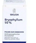 BRYOPHYLLUM 50% Pulver zum Einnehmen 20 g