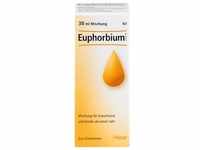 EUPHORBIUM COMPOSITUM SN Tropfen 30 ml