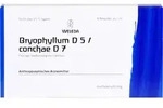 BRYOPHYLLUM D 5/Conchae D 7 Ampullen 8 ml