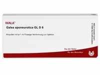 GALEA aponeurotica GL D 6 Ampullen 10 ml