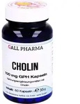 CHOLIN 100 mg GPH Kapseln 60 St.