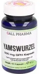 YAMSWURZEL 500 mg GPH Kapseln 60 St.