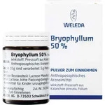 BRYOPHYLLUM 50% Pulver zum Einnehmen 50 g