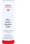 RHUS TOXICODENDRON SALBE 30 g