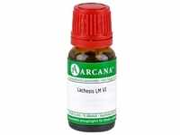 LACHESIS LM 6 Dilution 10 ml