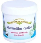 MURMELTIER SALBE im Tiegel 200 ml