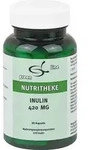 INULIN 420 mg Kapseln 90 St.