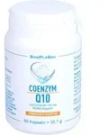 COENZYM Q10 UBICHINON Mono-Kapseln 100 mg 60 St. (35,7 g)