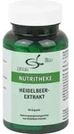 HEIDELBEER EXTRAKT Kapseln 90 St.