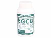 EGCG 100 mg Grüntee Extrakt plus Kapseln 200 St.