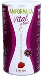 AMFORMULA Diet Erdbeere Pulver 490 g