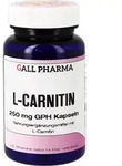 L-CARNITIN 250 mg Kapseln 100 St.
