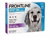 FRONTLINE Spot on H 40 Lösung f.Hunde 6 St.