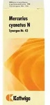 SYNERGON KOMPLEX 43 Mercurius cyanatus N Tabletten 100 St.