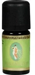 EUKALYPTUS &Ouml;L Radiata kbA 5 ml
