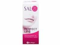 SAL 29 Perfect Lips 4 g
