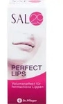 SAL 29 Perfect Lips 4 g