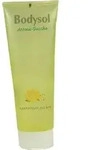 BODYSOL Aroma Duschgel Grapefruit Ingwer 250 ml
