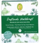 SET Duftende Waldkraft &auml;therisches &Ouml;l 1 P