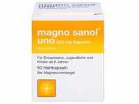MAGNO SANOL uno 243 mg Kapseln 50 St.