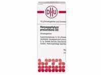 HARPAGOPHYTUM PROCUMBENS D 3 Globuli 10 g