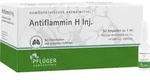 ANTIFLAMMIN H Inj.Ampullen 50 ml