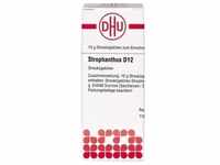 STROPHANTHUS D 12 Globuli 10 g