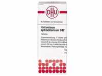 HISTAMINUM hydrochloricum D 12 Tabletten 80 St.