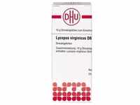LYCOPUS VIRGINICUS D 6 Globuli 10 g