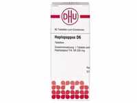 HAPLOPAPPUS D 6 Tabletten 80 St.