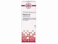 PHYTOLACCA D 1 Dilution 20 ml