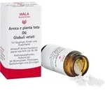 ARNICA E Planta tota D 6 Globuli 20 g