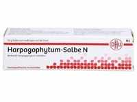 HARPAGOPHYTUM SALBE N 50 g